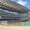Thumbnail of new posts 096