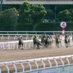 Thumbnail of new posts 056